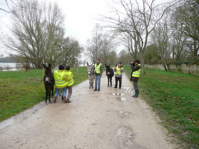 Loire propre 2014 (26).jpg